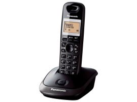 KX-TG2521JTT - Telefono cordless, display da 1,8 pollici, titanio