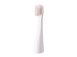 WEW0957-W503 - Brossette de brosse à dents, lot de 2, brosse standard pour EW-DS11